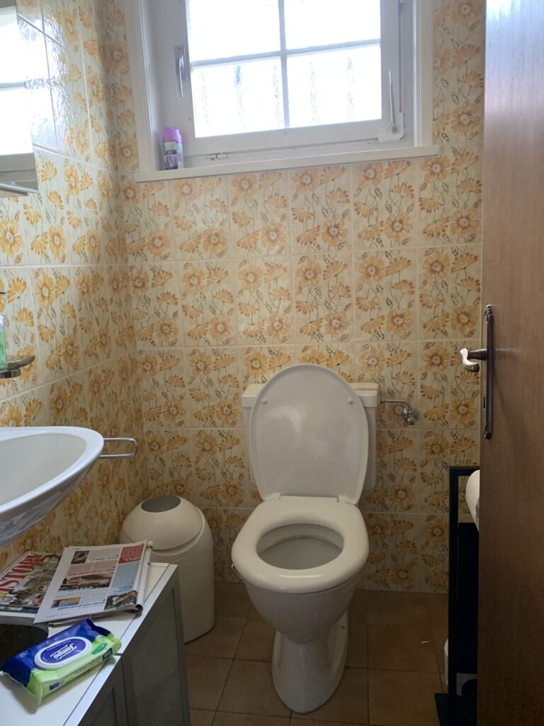 guest toilet before renovation villa St. Legier